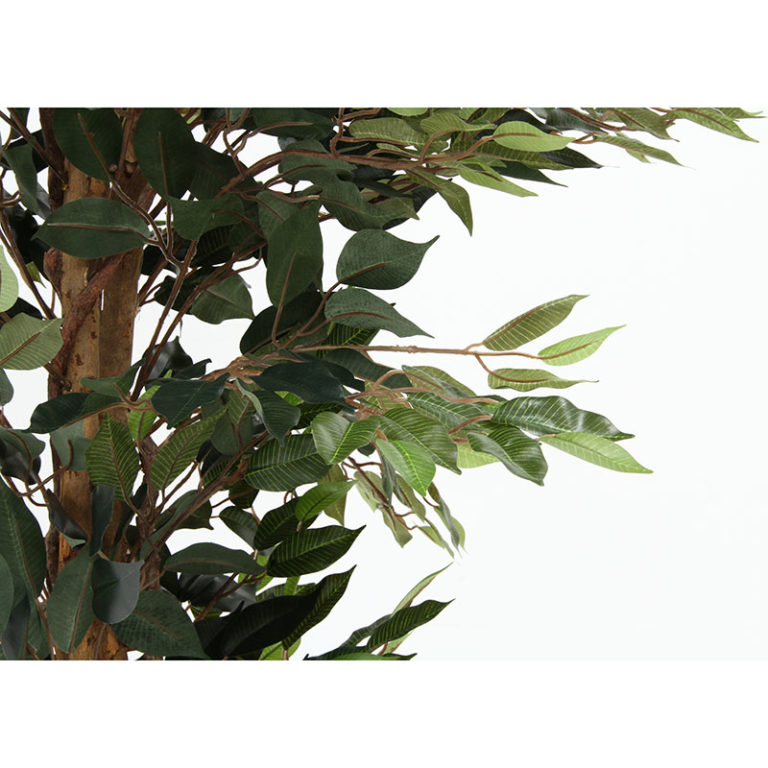 フィカス ベンジャミンホワイト リアルな天然木を使用した人工樹木 高さ約160cm フェイクグリーン